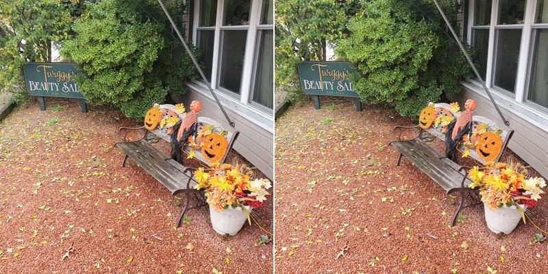 Twiggy's Beauty Salon