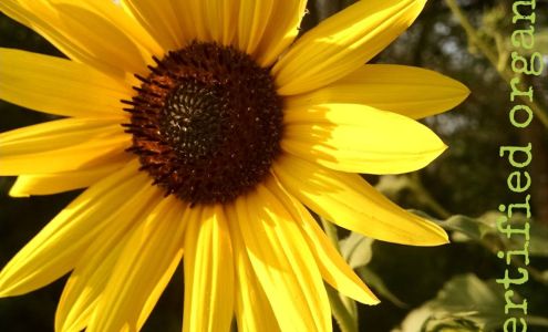 Main Street Hair Design Wymore