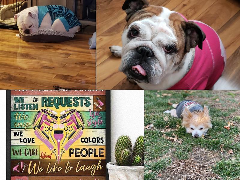 Artistic Hair Design