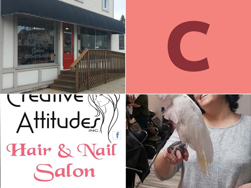 Creative Attitudes Inc