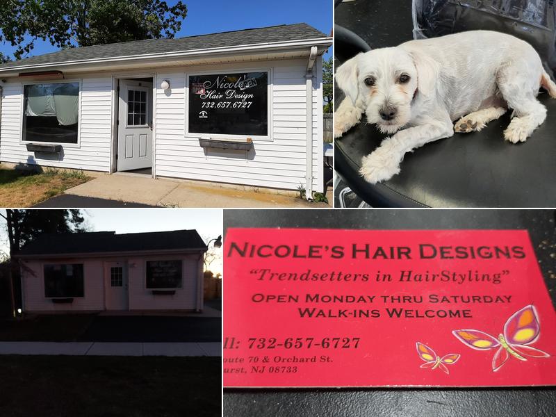 Nicole's Hair Design