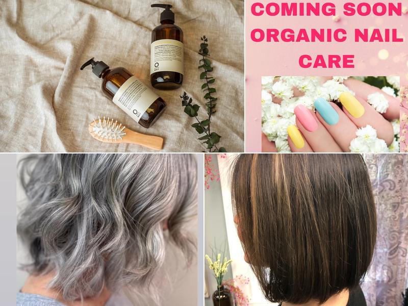 The Organic & Holistic Hairstylist