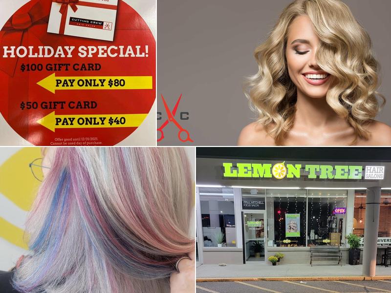 Lemon Tree Hair Salon Newton