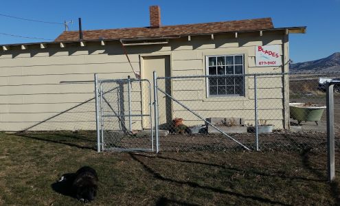 Blades Styles By Alicia Declo