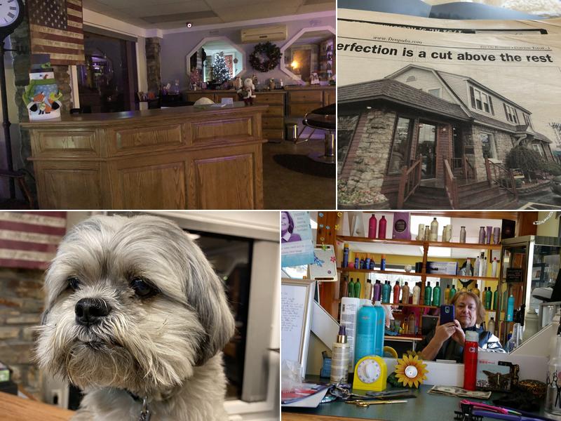 Punki's Shear Perfection