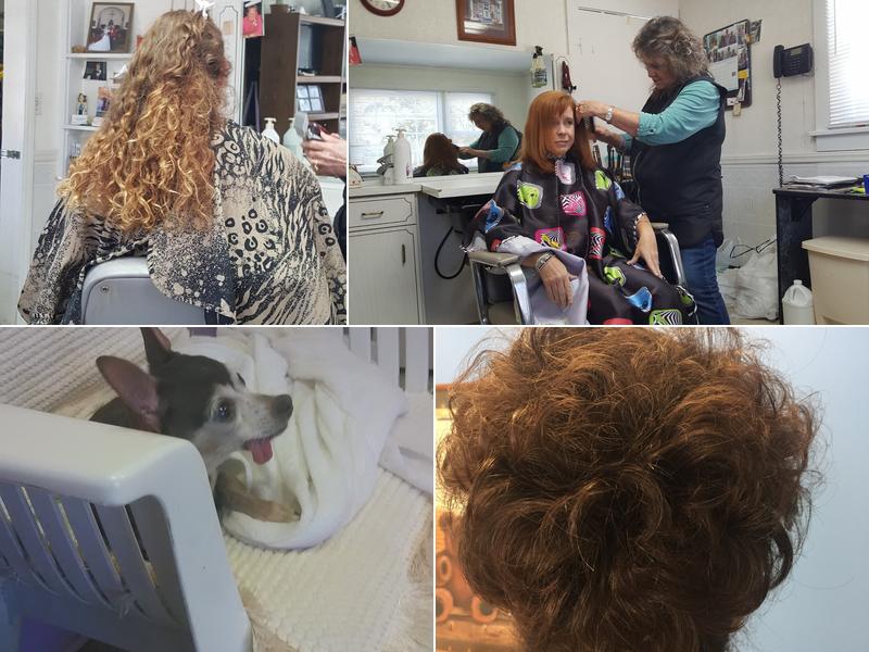 Swicegood & Co Hair Design