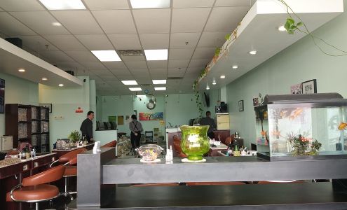 DD NAIL SPA 827 NY-82, Hopewell Junction New York 12533