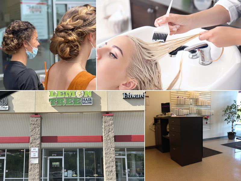 Lemon Tree Hair Salon Camillus