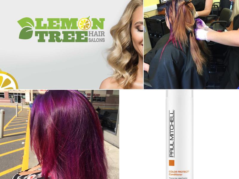 Lemon Tree Hair Salon New Paltz