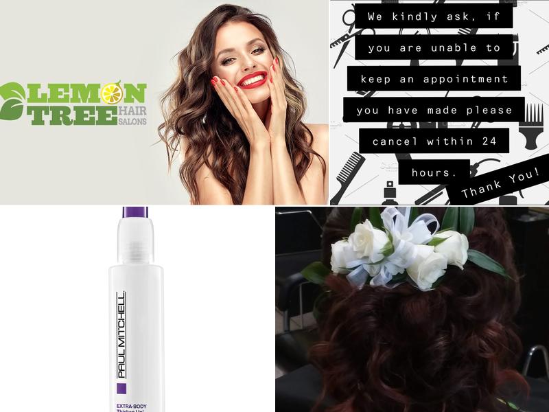 Lemon Tree Hair Salon Catskill