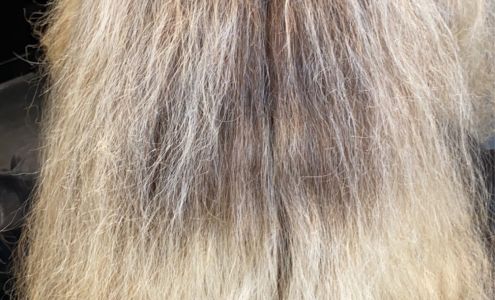 Nubella Hair Beauty Salon 1431-1301, State Rd 1563, Pembroke North Carolina 28372