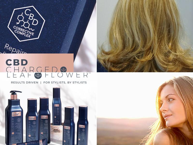 Suite Nectar Salons - Matthews