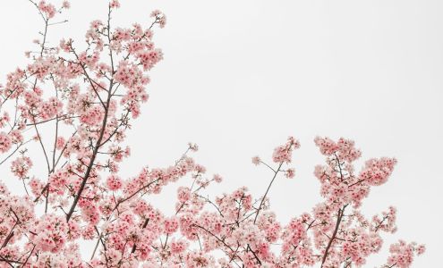 Sanctuary DermaSpa+Salon