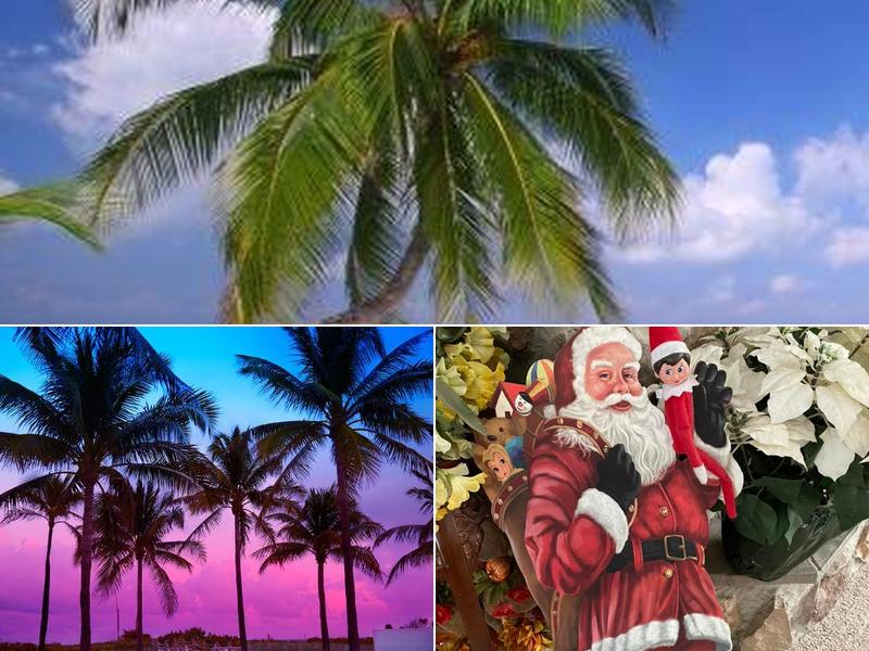 A Small Piece of Paradise Salon