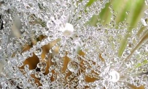 Sharon Riegner's Beauty Salon Stowe