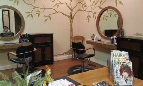 Destiny Hair Design 1709 Husted Rd STE 1, Conway South Carolina 29526