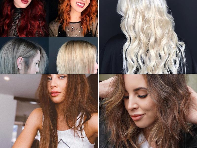 Intrepid Studio Salon