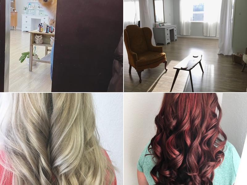 Fox Hollow Collective