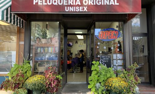 Peluqueria Original Unisex 113 Beekman Ave, Sleepy Hollow New York 10591