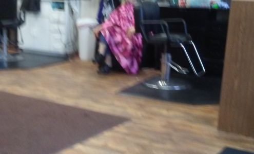 Classic Cuts By Lisa Brandenburg