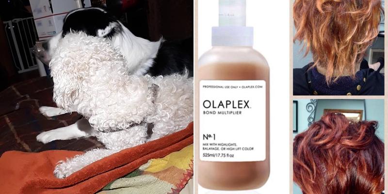 LAVERNE'S STYLING SALON