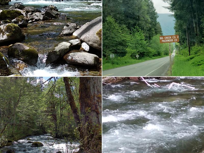 Skate Creek Road Turnoff, SR706