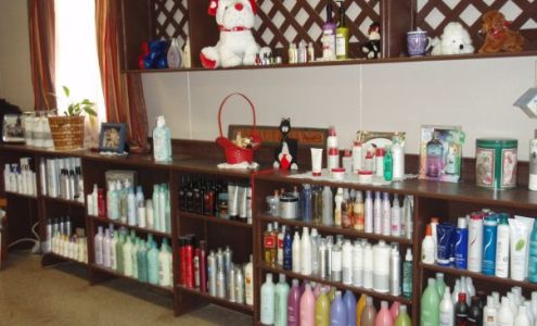 Kathy's Klassic Kuts Vincent