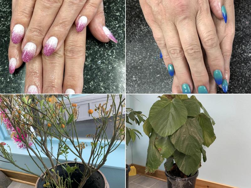 Fantasy Nails in Knoxville, IA