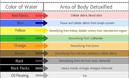 The Bold & The Beautiful Salon Georgetown