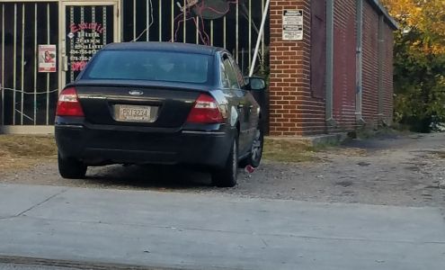 Exxotic Pink Foxx Salon