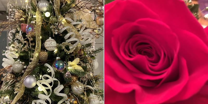 Rosemary Hozempa Salon & Gift