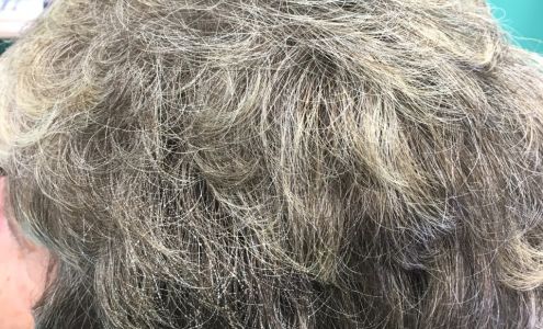 Presenting the Hairdressers Natrona Heights