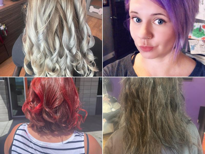 Lisa Wild Hair Studio