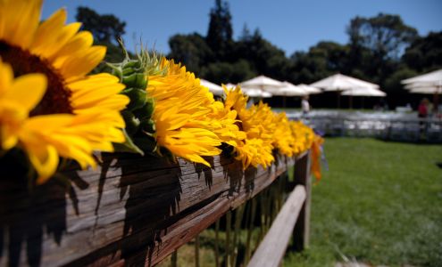 Bon Sheri Salon of Beauty Park Rapids