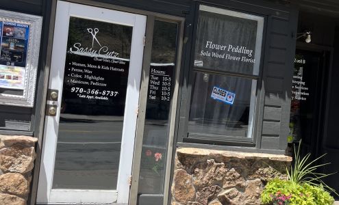 Sassy Cutz 312 W Main St A, New Castle Colorado 81647