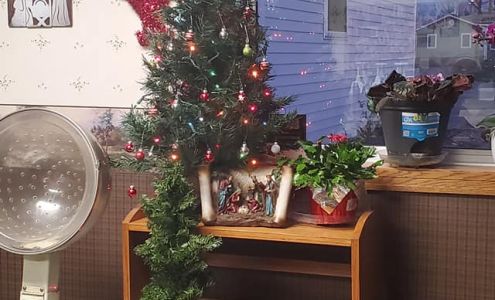 Susan's Snip & Style Salon Axtell