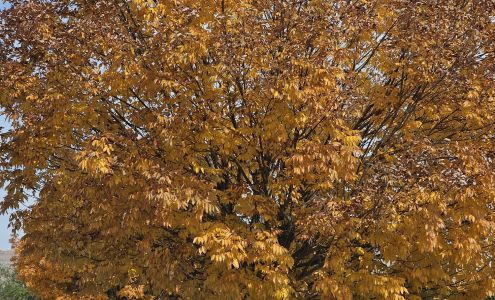 StorSmart Storage LLC