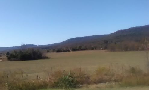 Redleg Delivery Systems Inc Alpena