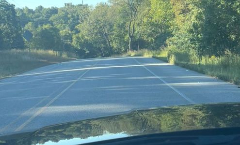 Sassy Sue's Storage Lowell