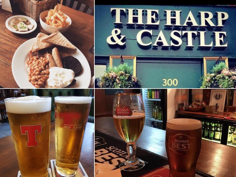 The Harp and Castle