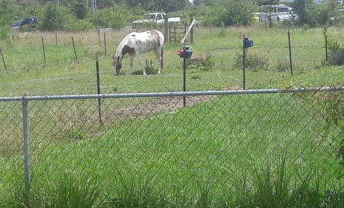 Danny Herman philipsburg Phillipsburg