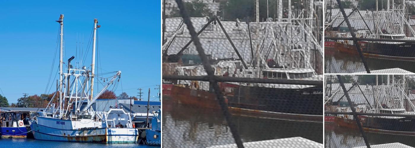 Chesapeake Bay Packing