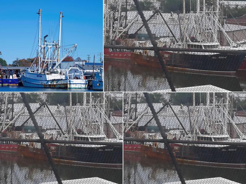 Chesapeake Bay Packing