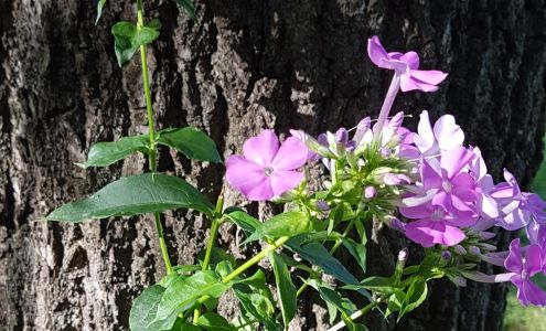 Mt Vernon Self Storage Mount Vernon