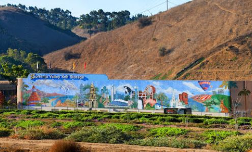 Sorrento Valley Self Storage
