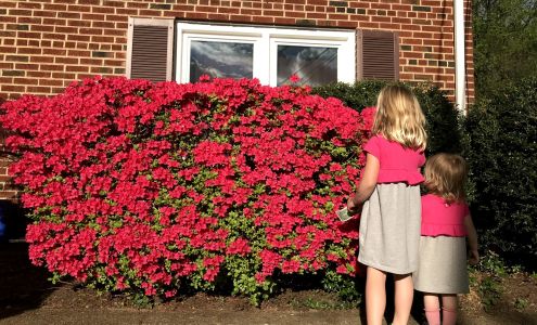 Storage Plus Coinjock