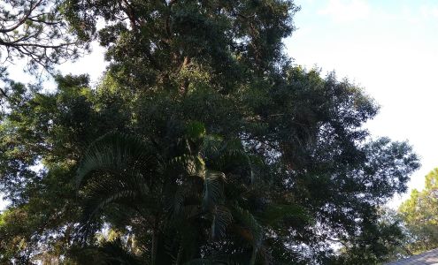 North Manatee RV & Boat Storage