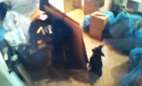 chula vista movers Chula Vista