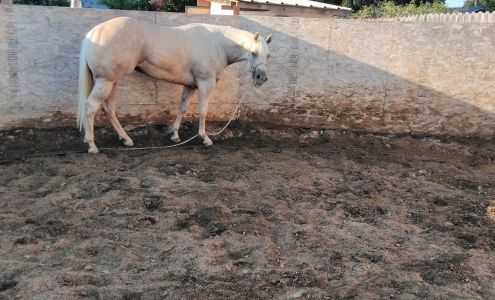 Evergreen Mobile Home Park