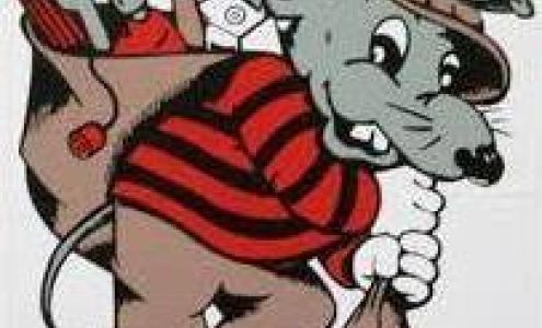 Pack Rat Storage Scotland